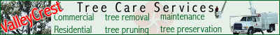 Commercial and Residential Tree Care Services - ValleyCrest Tree Care Services